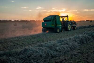 Landwirtschaftliche Betriebe auf der Suche nach neuen Einkünften