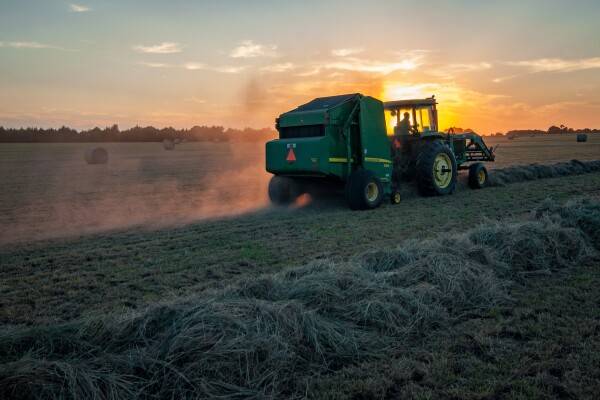 Landwirtschaftliche Betriebe auf der Suche nach neuen Einkünften