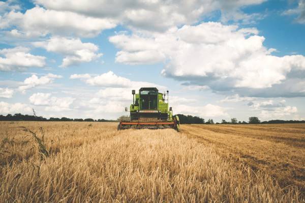 Übersetzungsbüro Agrar-Übersetzer | Gärtner und Landwirte werden mehr geschätzt